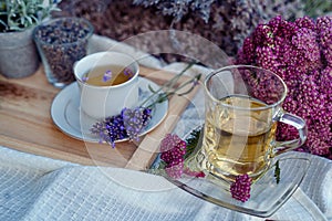 Herbal tea - Yarrow - Achillea millefolium and Lavender tea
