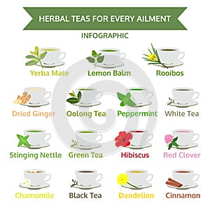 Herbal teas for ailment, healthy food, herb vector photo