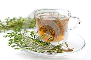 Herbal thyme tea with fresh leaf around