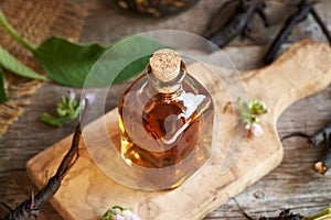 Comfrey root tincture in a glass bottle