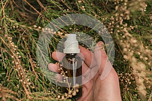 Herbal tincture .natural pharmacy. homeopathic remedies.Treatment with herbal remedies.Herbs and flowers for beauty and