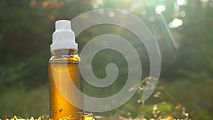 Herbal tincture.Treatment with herbal remedies.tincture in a glass brown bottle