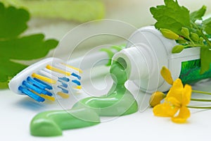 Herbal toothpaste and toothbrush