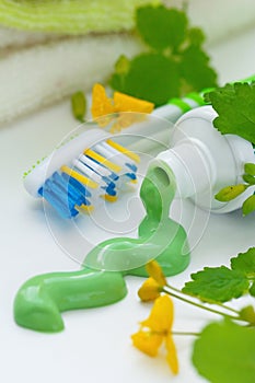 Herbal toothpaste and toothbrush