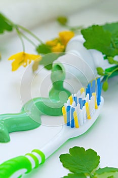 Herbal toothpaste and toothbrush