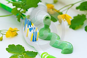 Herbal toothpaste and toothbrush