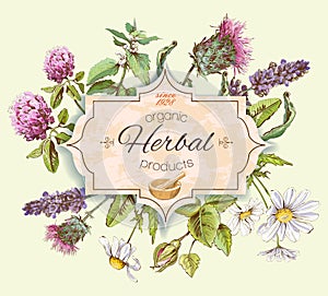 Herbal vintage banner