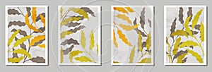 Herbal wall art prints set. Summer twigs with leaves. Willow tree