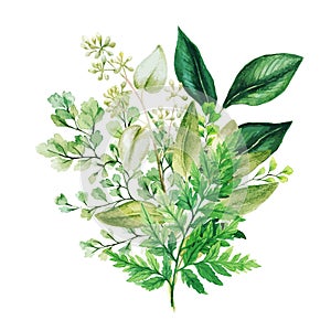 Herbal watercolor bouquet with ferns and adiantum photo