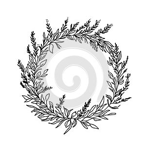 Herbal wreath vector illustration. Botanical wild meadow grass round frame. Monochrome sketch drawing for cards, invitation,