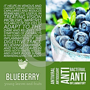 herbalist advise in natural remedies of Blueberries benefits