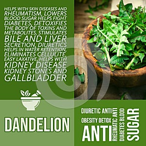 herbalist advise in natural remedies ofDandelion benefits