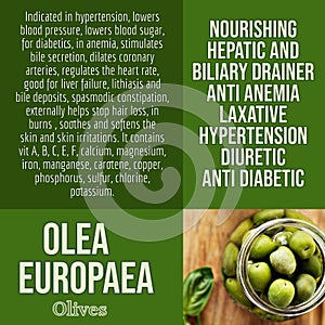 herbalist advise in natural remedies of Olives benefits