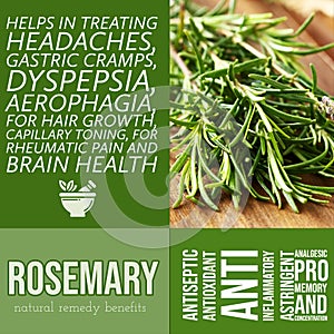 herbalist advise in natural remedies of Rosemary benefits