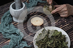 An herbalist prepares a powder from dried May nettle leaves. Folk, alternative medicine.