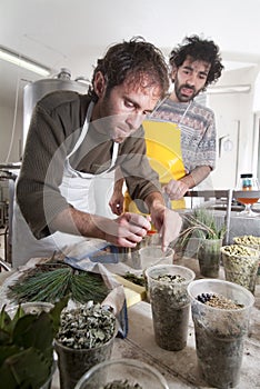 Herbalist preparing various herbal
