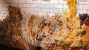 herbarium dried flowers for interior design bouquets