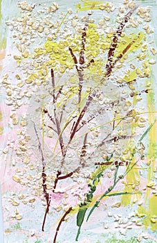 Herbarium with Green summer meadow herbs and leaves