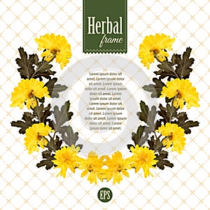 Herbarium wreath of natural yellow flowers