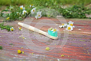 Herbed toothpaste with chamomile  on an old wooden background. Selective focus on flowers and a toothbrush