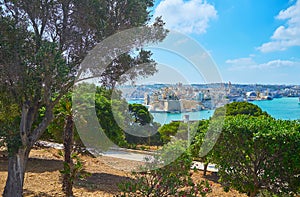 Herbert Ganado Gardens, Floriana, Malta photo