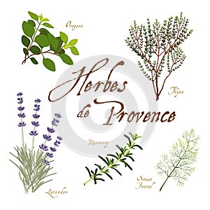 Herbes de Provence, Herb Blend