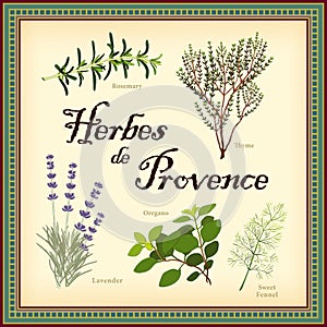 Herbes de Provence, Traditional French Herb Blend