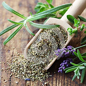 Herbes De Provence photo