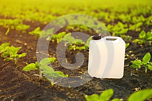 Herbicide canister can in sunflower sprout field