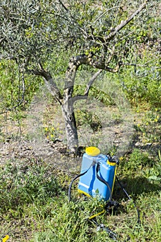 Herbicide sprayer close to an olive tree.