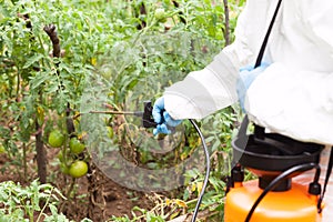 Herbicide spraying. Non-organic vegetables.