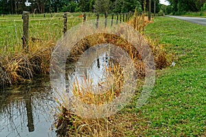 Herbicide use on a drainage ditch that drains into an estuary, New Zealand