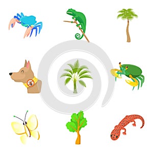 Herbivore icons set, cartoon style