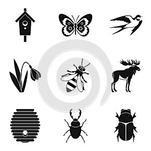 Herbivorous icons set, simple style