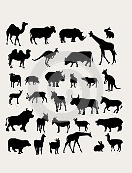 Herbivorous Silhouettes photo