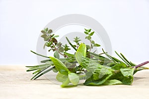 Herbs photo