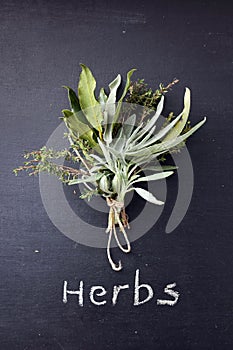 Herbs