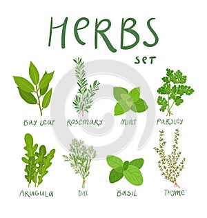 Herbs