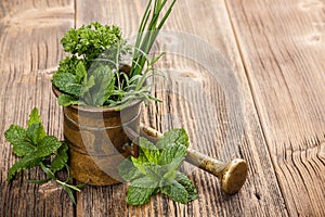 Herbs with antique mortar