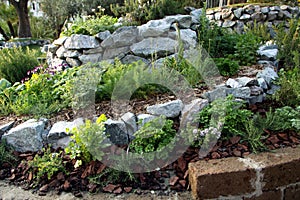 Herbs and aromatic plants spiral garden bed