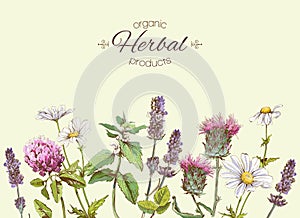 herbs banner photo
