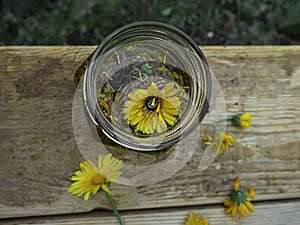 Herbs, bottles on wooden background. Alternative Medicine, Natural Healing