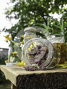 Herbs, bottles on wooden background. Alternative Medicine, Natural Healing