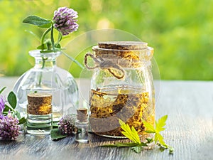 Herbs, bottles on wooden background. Alternative Medicine, Natural Healing photo