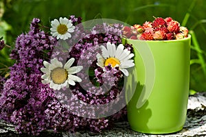 Herbs bouquet and cup of wild strawberry