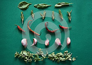 Herbs, chili and garlic arranged in rows on a green background. Flat lay