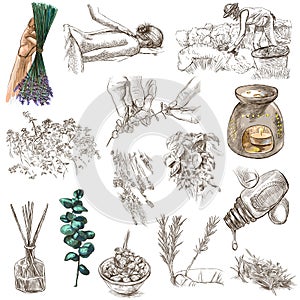 Herbs, cleanliness, scent and skin care. Collection, pack of freehand sketches. Line art on white