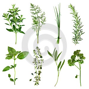 Herbs Collection