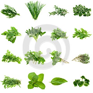 Herbs Collection