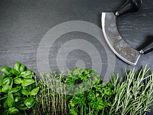 Herbs and cutter on slate background